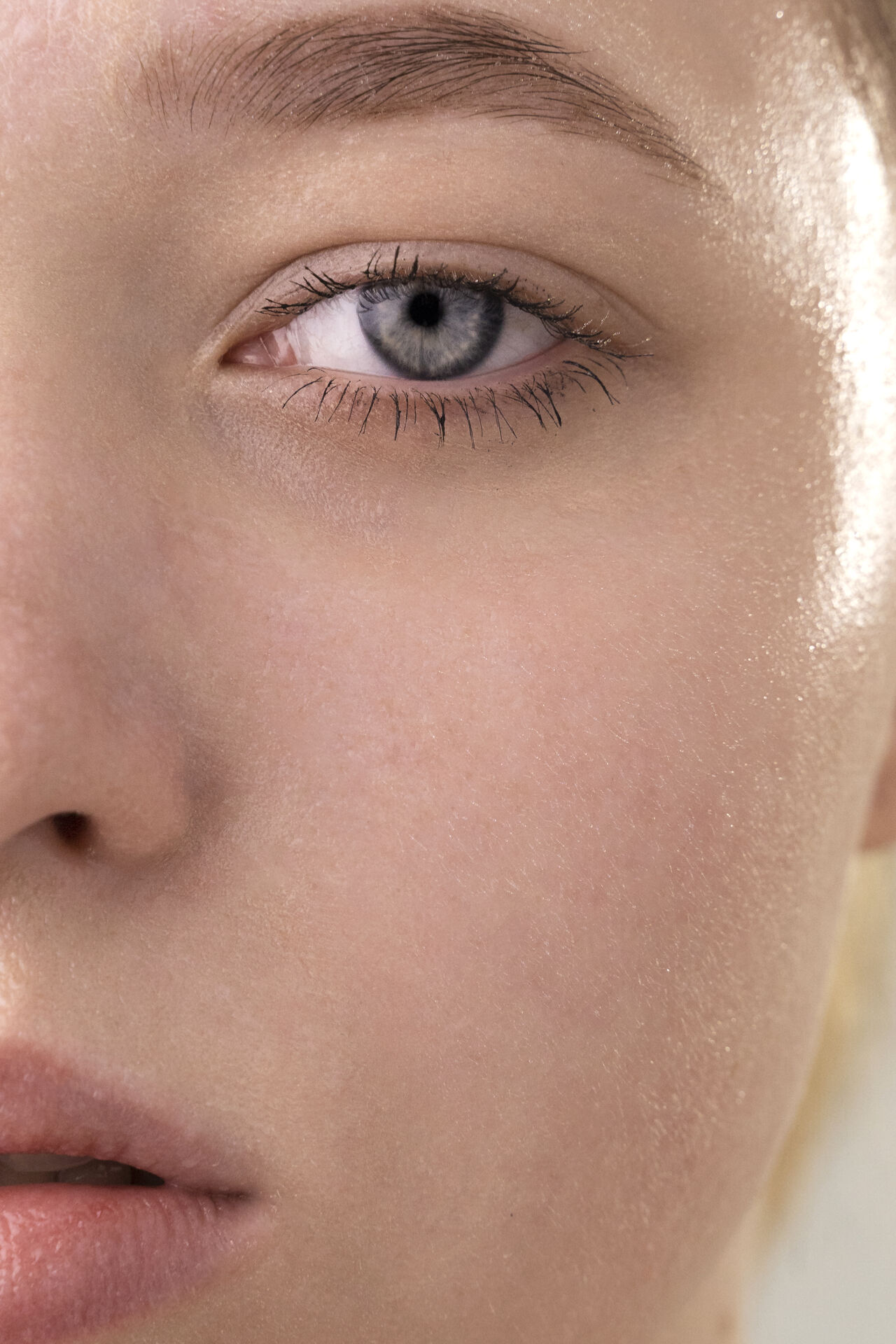 Anti-Aging & Longevity